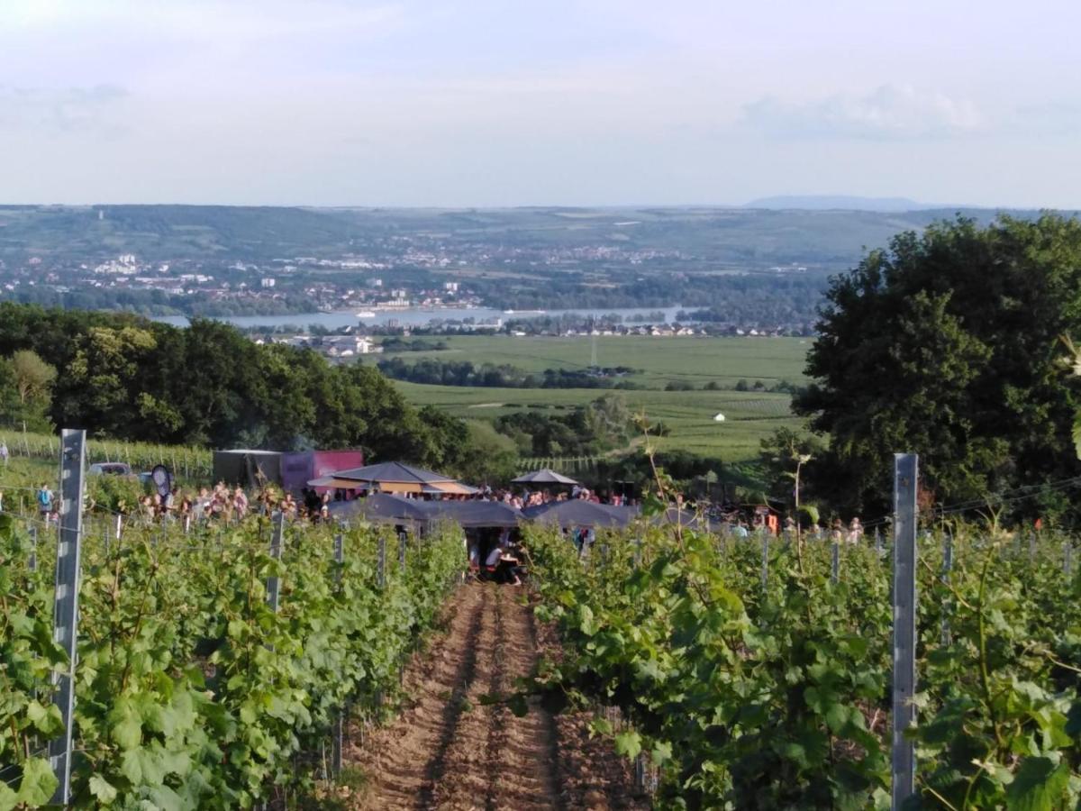 Rheingau Und Weltkulturerbe Mittelrheintal Erleben - Ferienappartement In Winkel فينكل اوستريش المظهر الخارجي الصورة