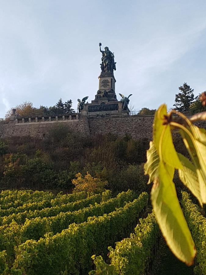 Rheingau Und Weltkulturerbe Mittelrheintal Erleben - Ferienappartement In Winkel فينكل اوستريش المظهر الخارجي الصورة